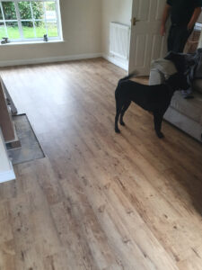 1st choice carpets and flooring wiltshire